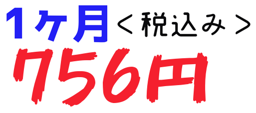 1ヶ月料金