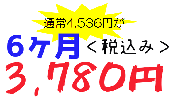 6ヶ月料金