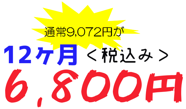 12ヶ月料金